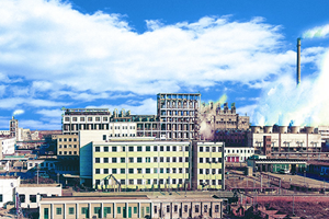 大型純堿工程化技術(shù)