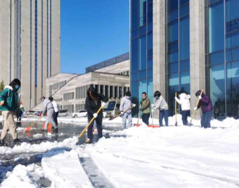 “我為群眾辦實事”系列報道(35)｜群眾利益無小事 一枝一葉總關(guān)情