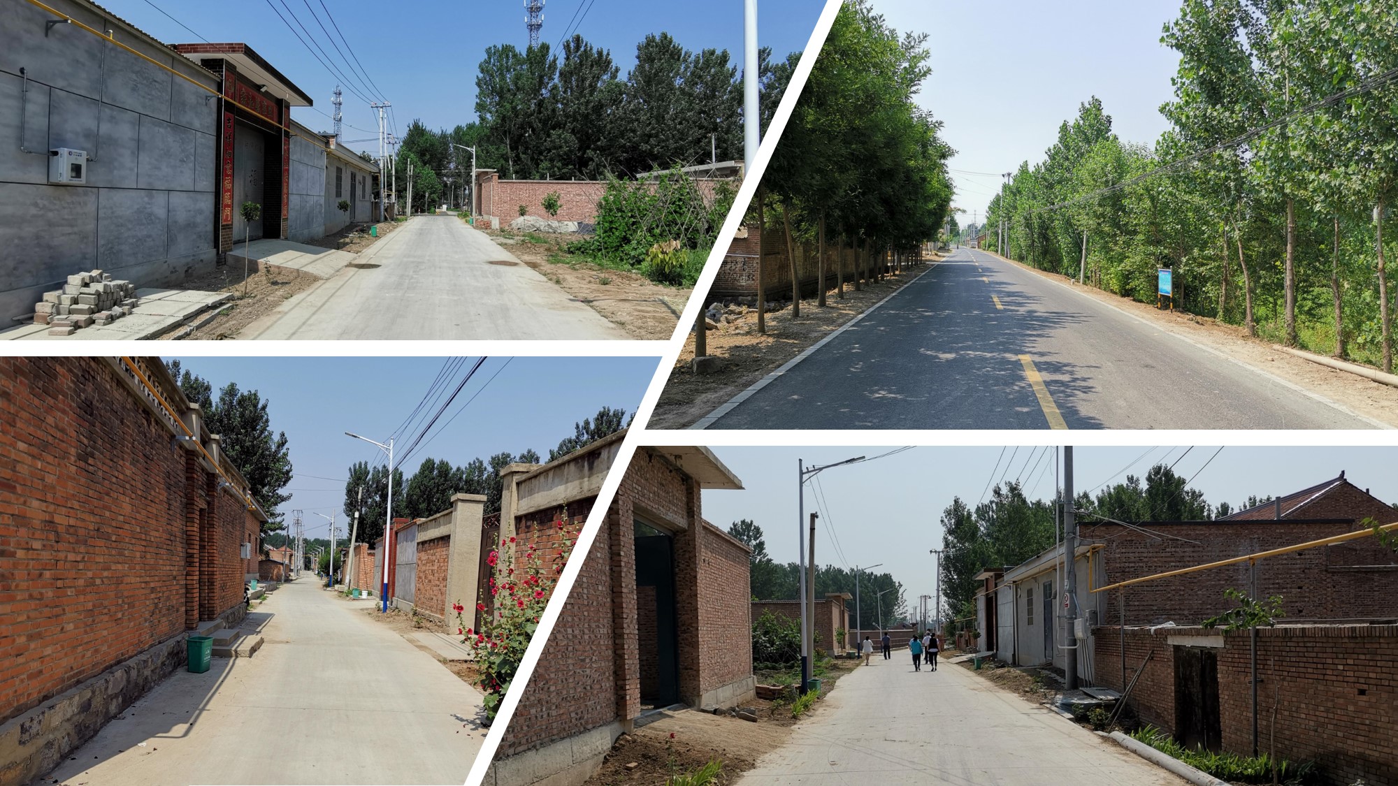 圖6 村容村貌煥然一新.jpg